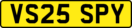VS25SPY
