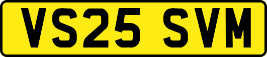 VS25SVM