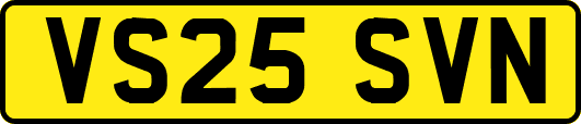 VS25SVN
