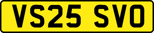 VS25SVO