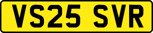 VS25SVR