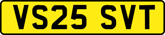 VS25SVT