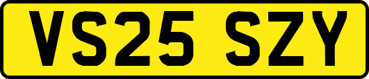 VS25SZY