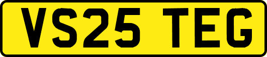 VS25TEG