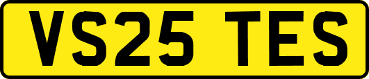 VS25TES