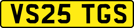 VS25TGS