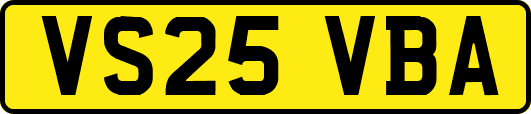 VS25VBA