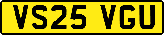 VS25VGU