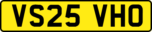 VS25VHO
