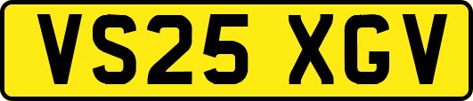 VS25XGV