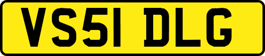 VS51DLG