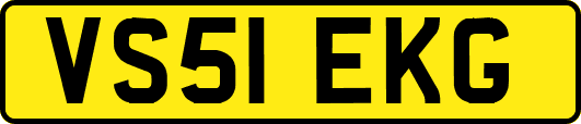VS51EKG