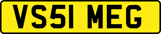 VS51MEG