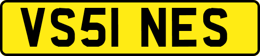 VS51NES