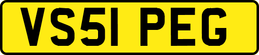 VS51PEG