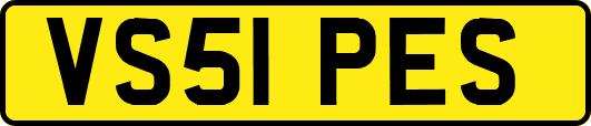 VS51PES