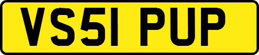VS51PUP