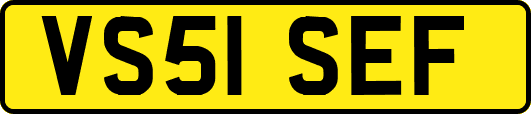 VS51SEF