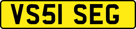 VS51SEG