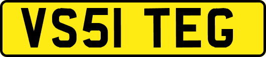 VS51TEG