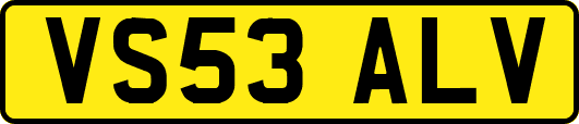 VS53ALV