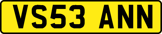 VS53ANN