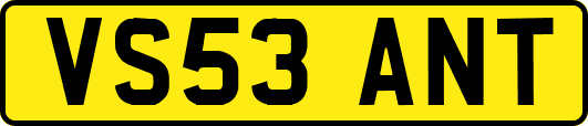 VS53ANT