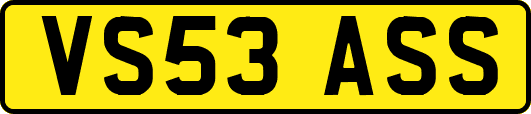 VS53ASS