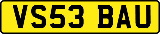 VS53BAU