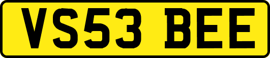 VS53BEE