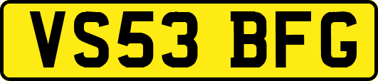 VS53BFG