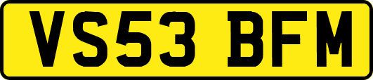 VS53BFM