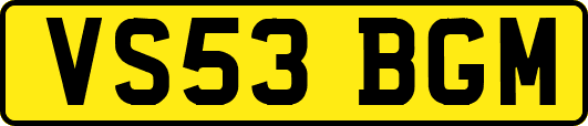 VS53BGM