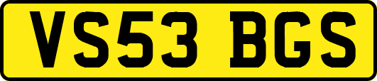 VS53BGS