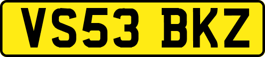 VS53BKZ