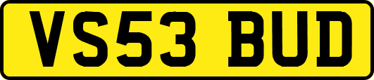 VS53BUD