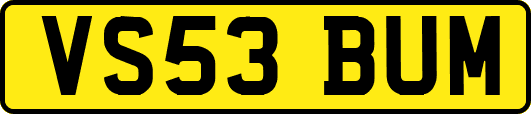VS53BUM