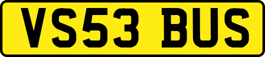 VS53BUS