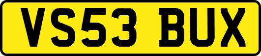VS53BUX