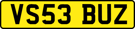 VS53BUZ