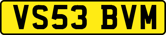 VS53BVM