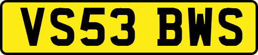 VS53BWS
