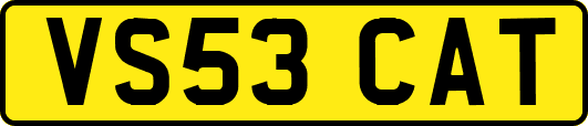 VS53CAT