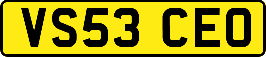 VS53CEO
