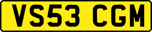 VS53CGM