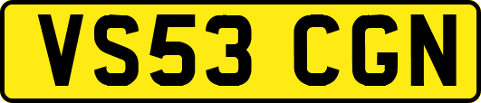 VS53CGN