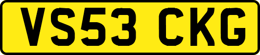 VS53CKG