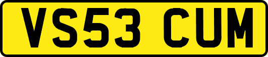 VS53CUM