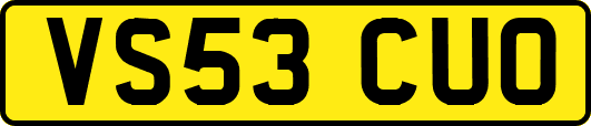 VS53CUO