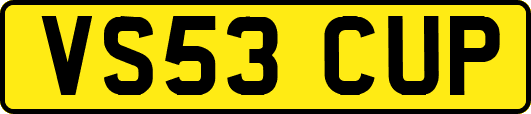 VS53CUP